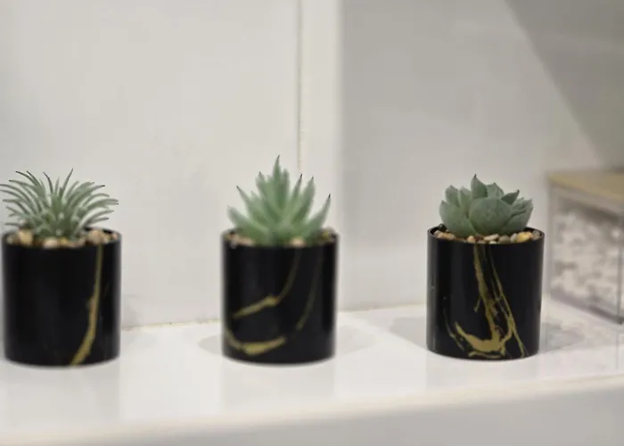 Tuwima 2 Апартаменты *